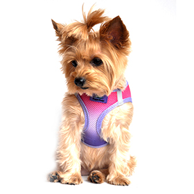American River Choke Free Dog Harness Ombre Collection  Raspberry Sundae: DD-60957