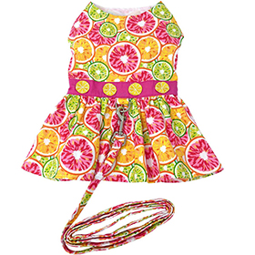 Citrus Slice Dog Dress with Matching Leash: DD-78503