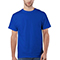 75:Royal Blue