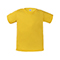 Y01:SUNFLOWER