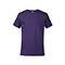 P39:PURPLE