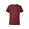 R7S:Garnet