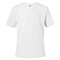 N01:WHITE