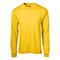 Y02:LT. GOLD