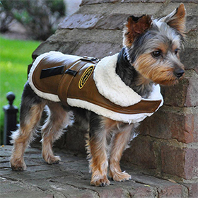 Brown and Black Faux Leather Bomber Dog Coat Harness and Leash: DD-56690