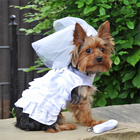 Dog Harness Wedding Dress with Veil and Matching Leash: DD-56745