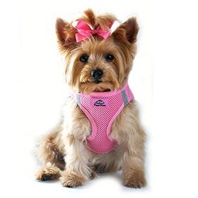 American River Solid Ultra Choke Free Dog Harness  Candy Pink: DD-58590