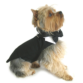 Black Dog Harness Tuxedo wTails Bow Tie and Cotton Collar : DD-5957