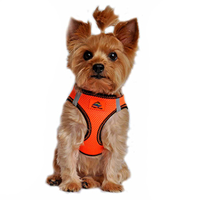 American River Top Stitch Dog Harness  Iridescent Orange: DD-60774