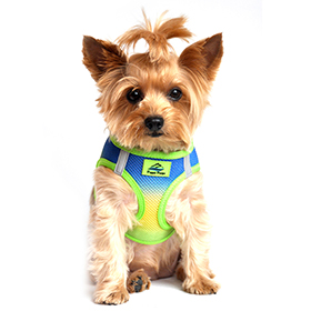 American River Choke Free Dog Harness Ombre Collection  Cobalt Sport: DD-60952
