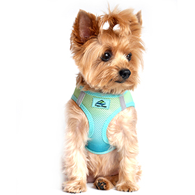 American River Choke Free Dog Harness Ombre Collection  Aruba Blue: DD-60953