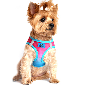 American River Choke Free Dog Harness Ombre Collection  Sugar Plum: DD-60954