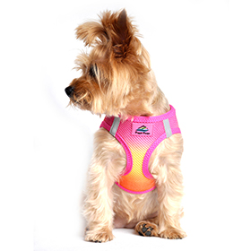 American River Choke Free Dog Harness Ombre Collection  Raspberry Pink and Orange: DD-60955