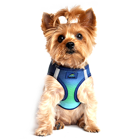 American River Choke Free Dog Harness Ombre Collection  Northern Lights: DD-60956