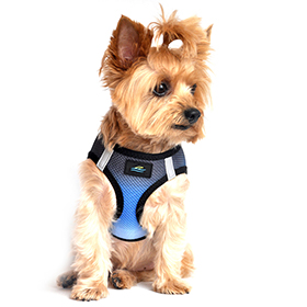 American River Choke Free Dog Harness Ombre Collection  Midnight Sky: DD-60958