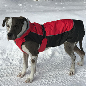 Alpine AllWeather Dog Coat  Red and Black: DD-65163