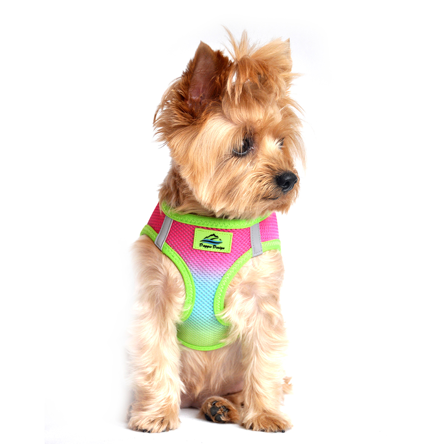 American River Choke Free Dog Harness Ombre Collection  Rainbow: DD-60951