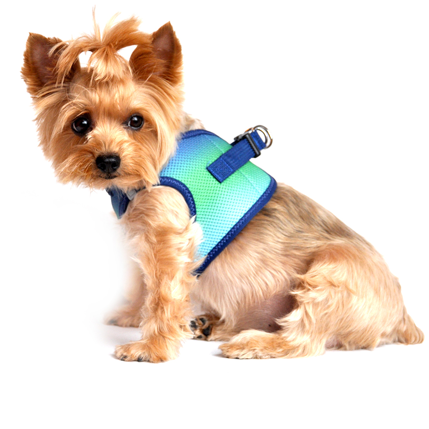 American River Choke Free Dog Harness Ombre Collection  Northern Lights: DD-60956V3