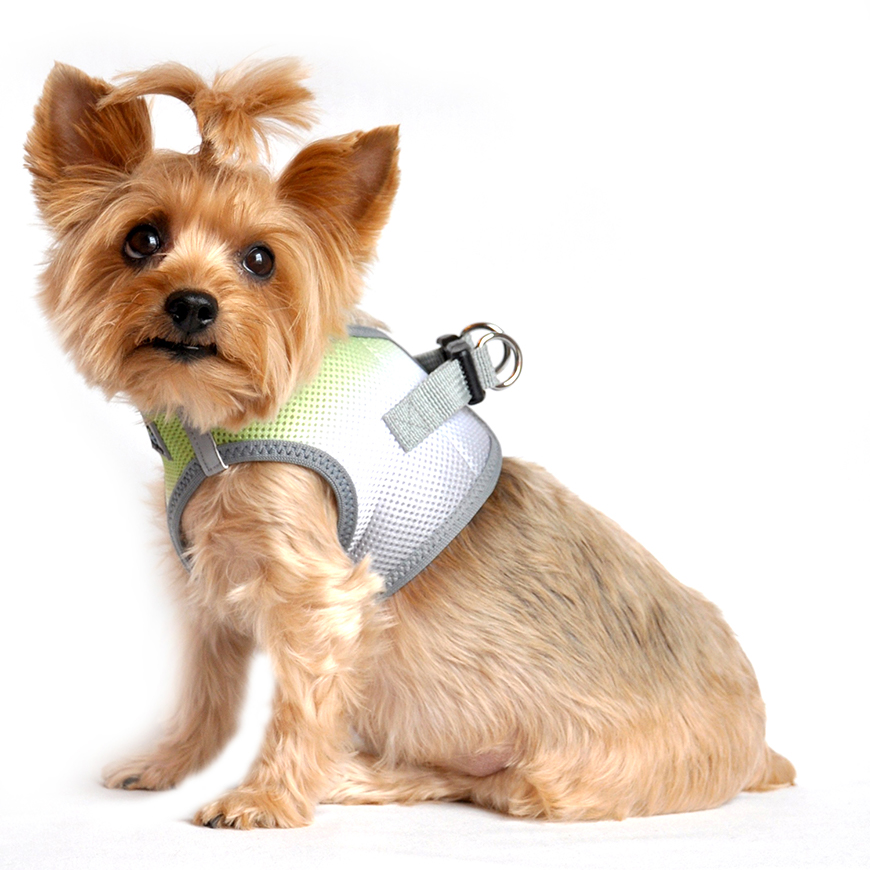 American River Choke Free Dog Harness Ombre Collection  Limestone Gray: DD-60959V3