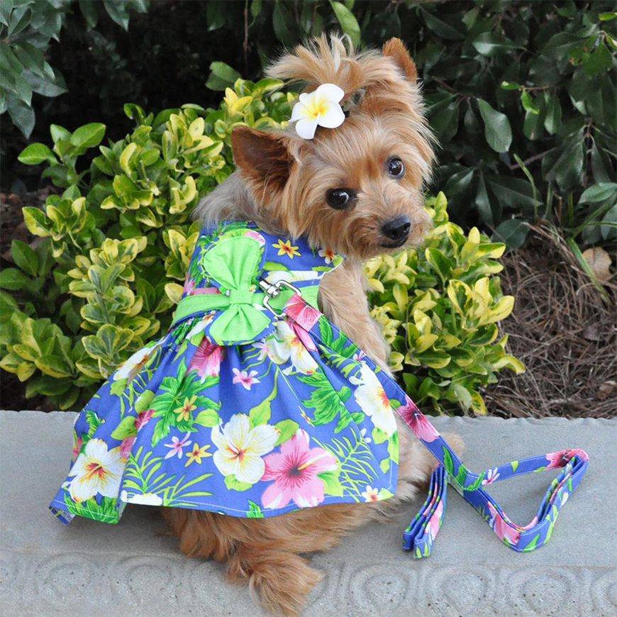 Blue Lagoon Hawaiian Hibiscus Dog Dress with Matching Leash: DD-66887V3