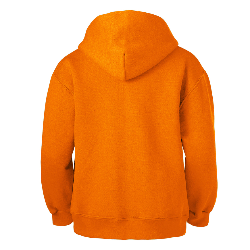 Youth Classic Hooded Sweatshirt: SO-B9289V3